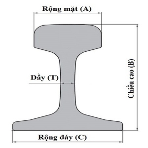 Ray QU 80